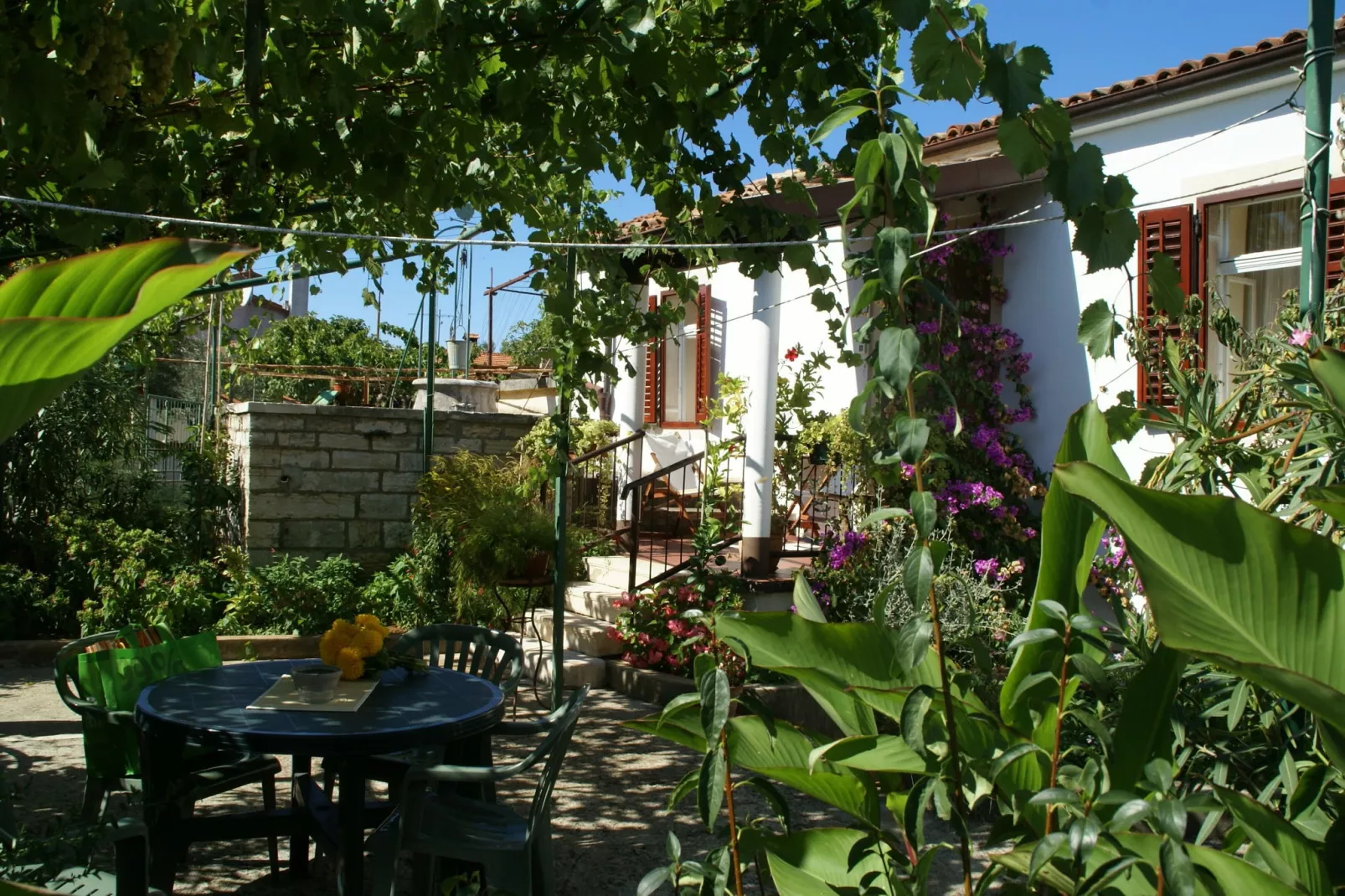 Belci-Gardens summer