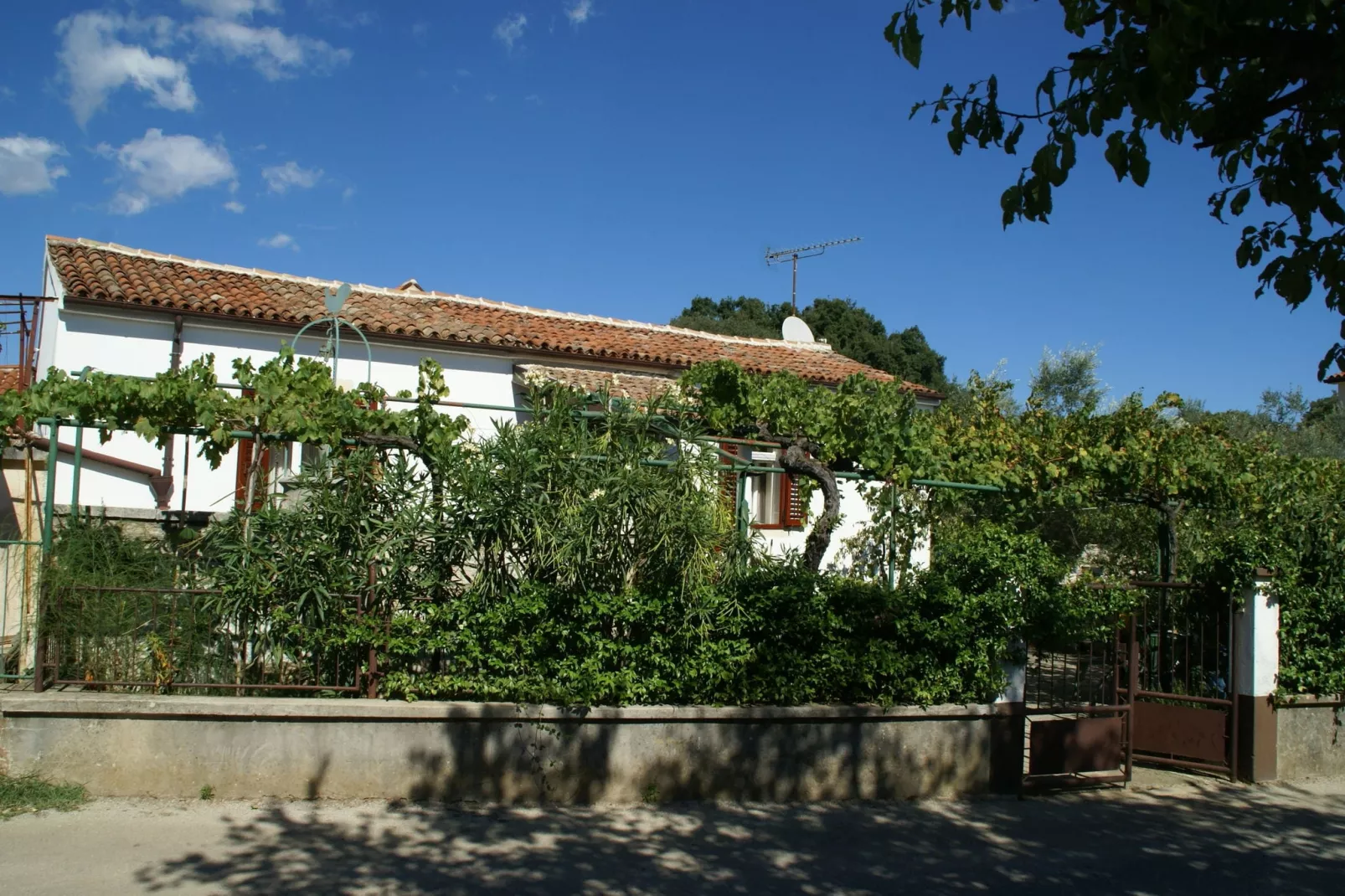 Belci-Areas summer 1km