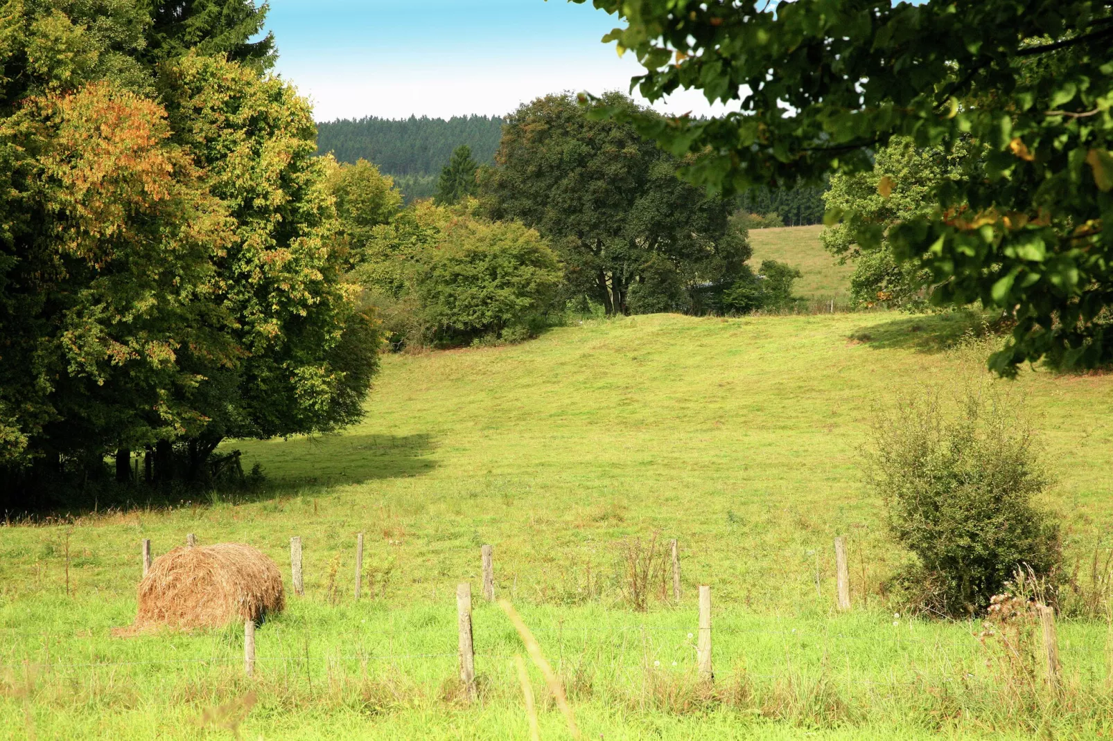 Le Roi-View summer