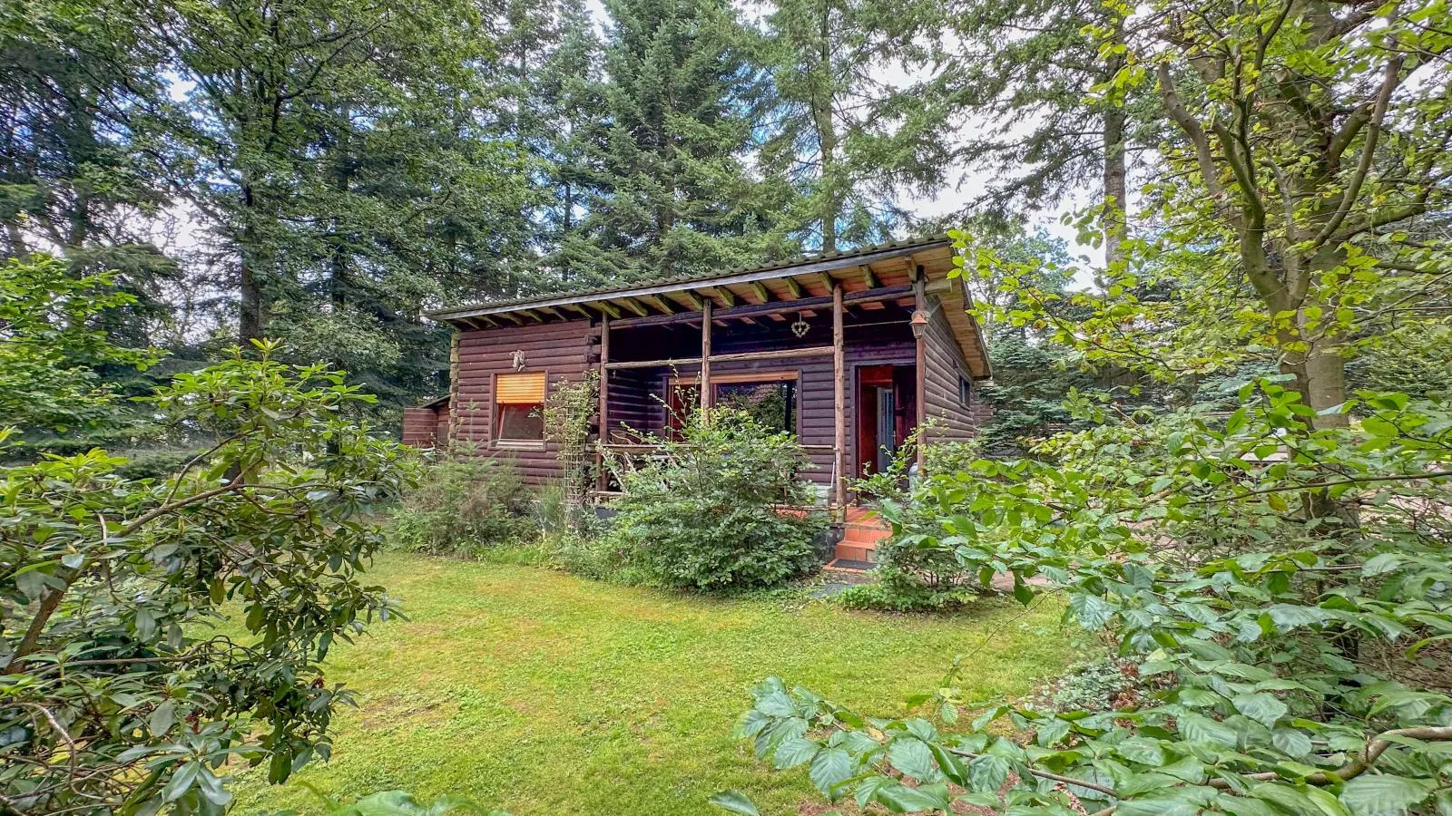 Wood Cabin-Exterior summer