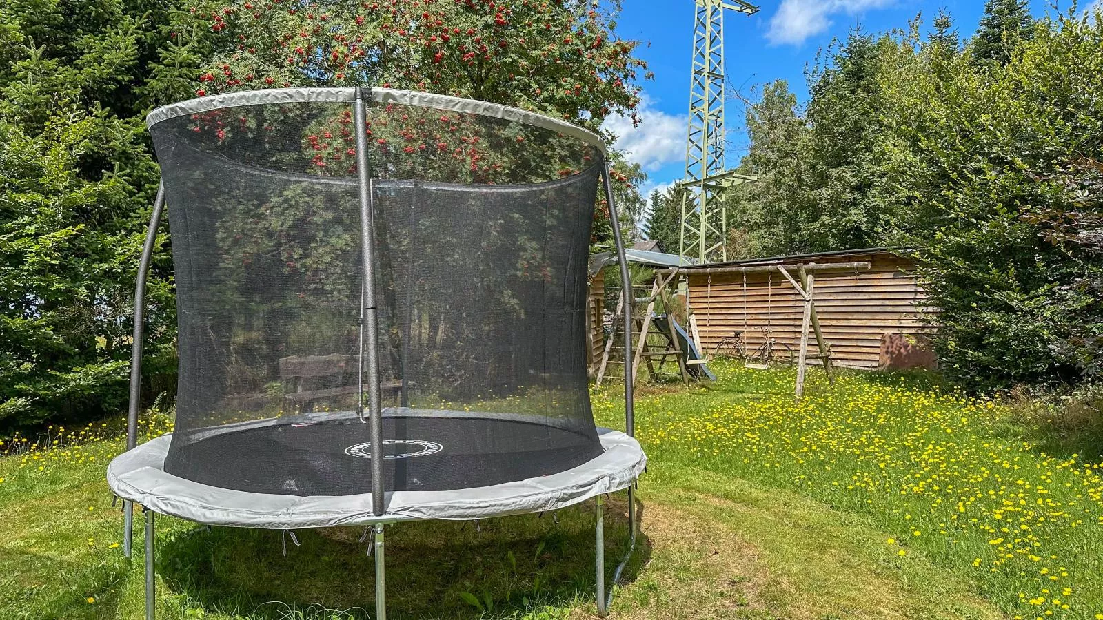 Wood Cabin-Park facilities