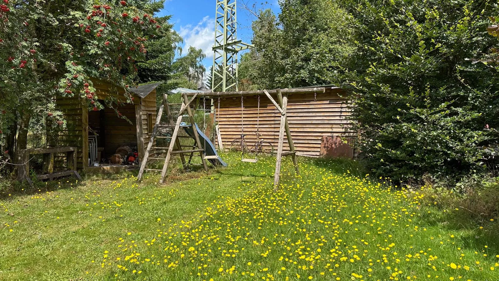Wood Cabin-Park facilities