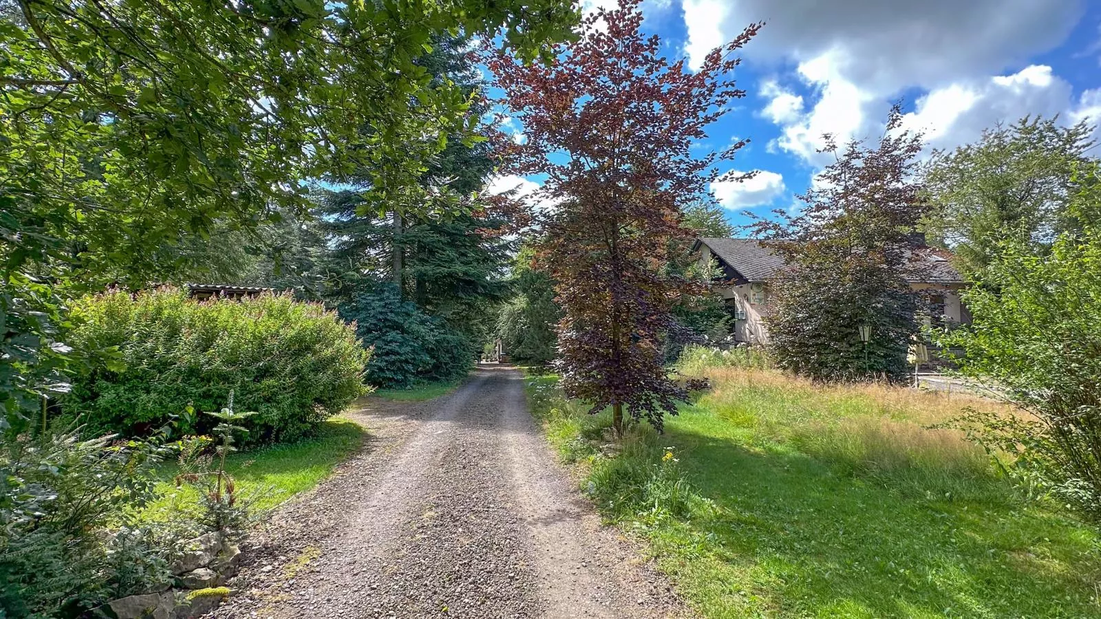 Wood Cabin-Areas summer 1km