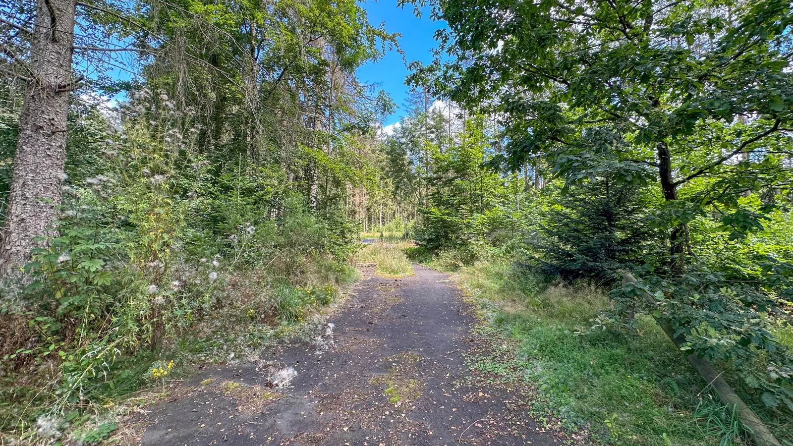 Wood Cabin-Areas summer 1km