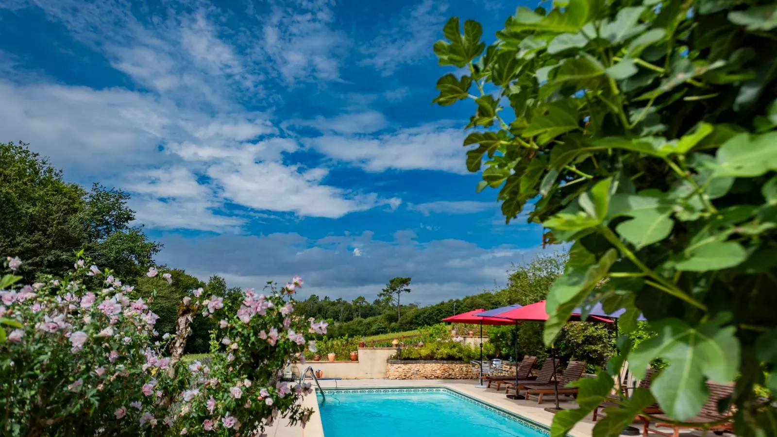 Maison Micouleaud-Pool