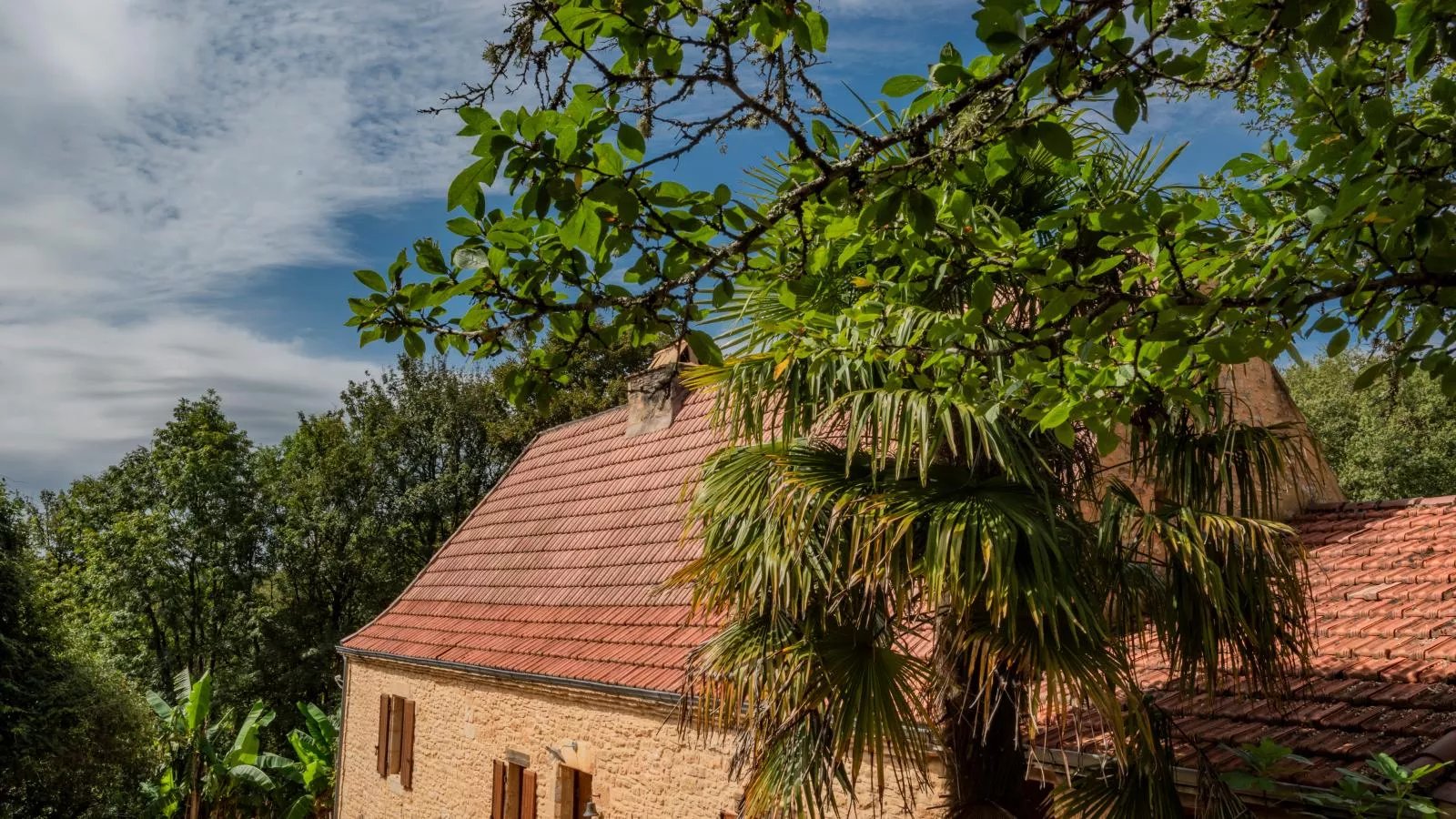 Maison Micouleaud-Exterior summer