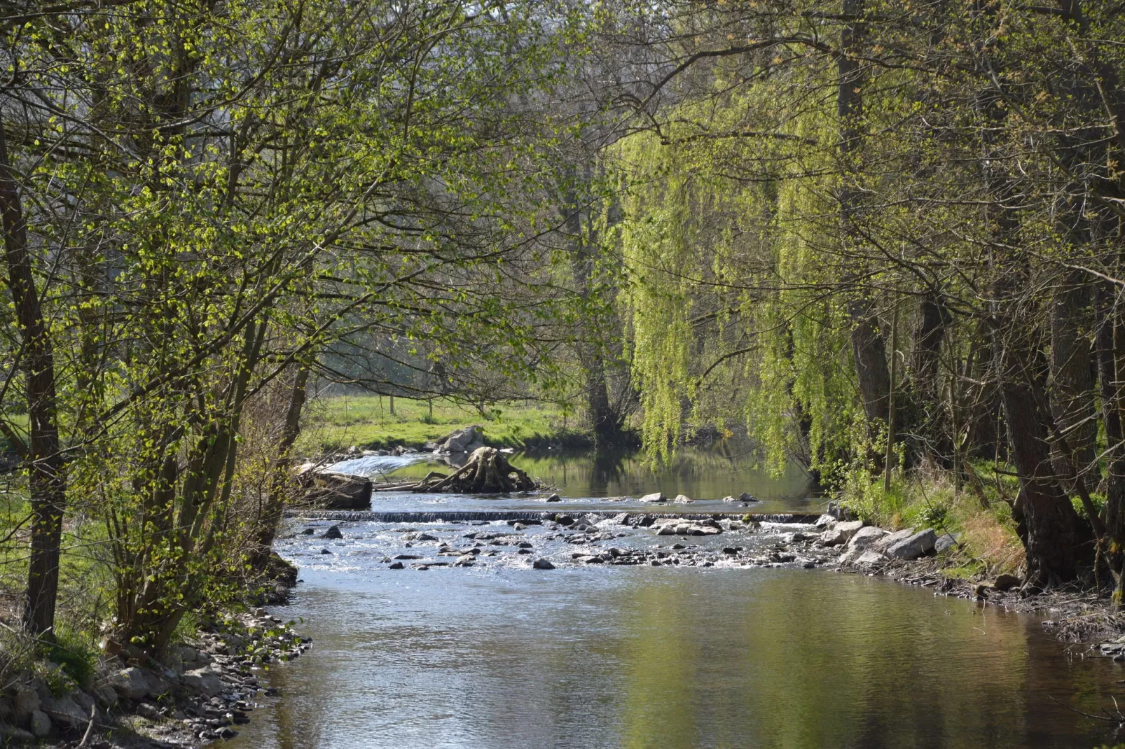 Le Roi-Areas summer 20km