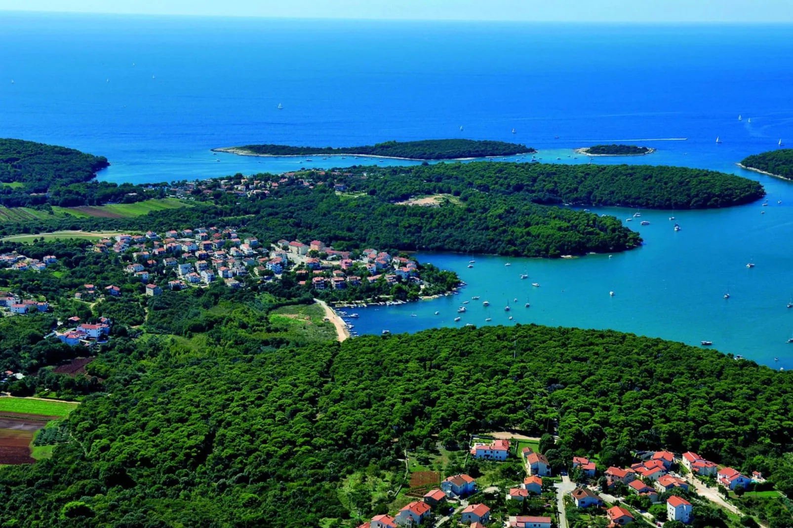Lavinija Rosa-Areas summer 5km