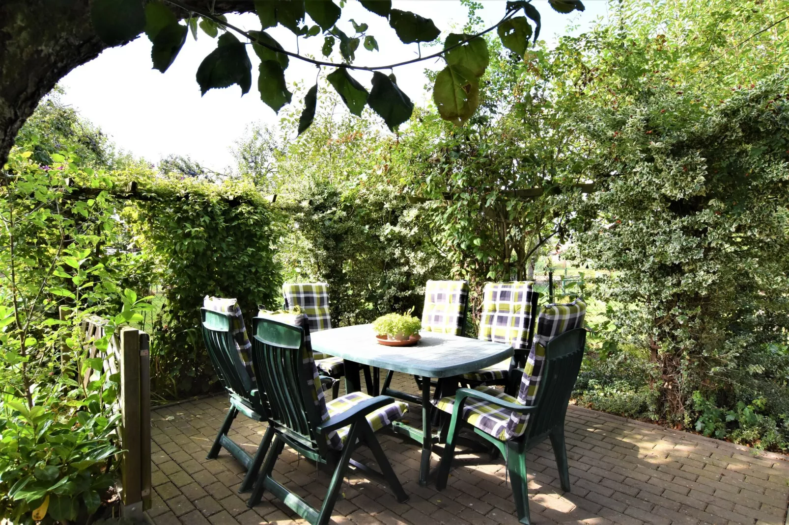 Am Gänsegarten - XL-Gardens summer