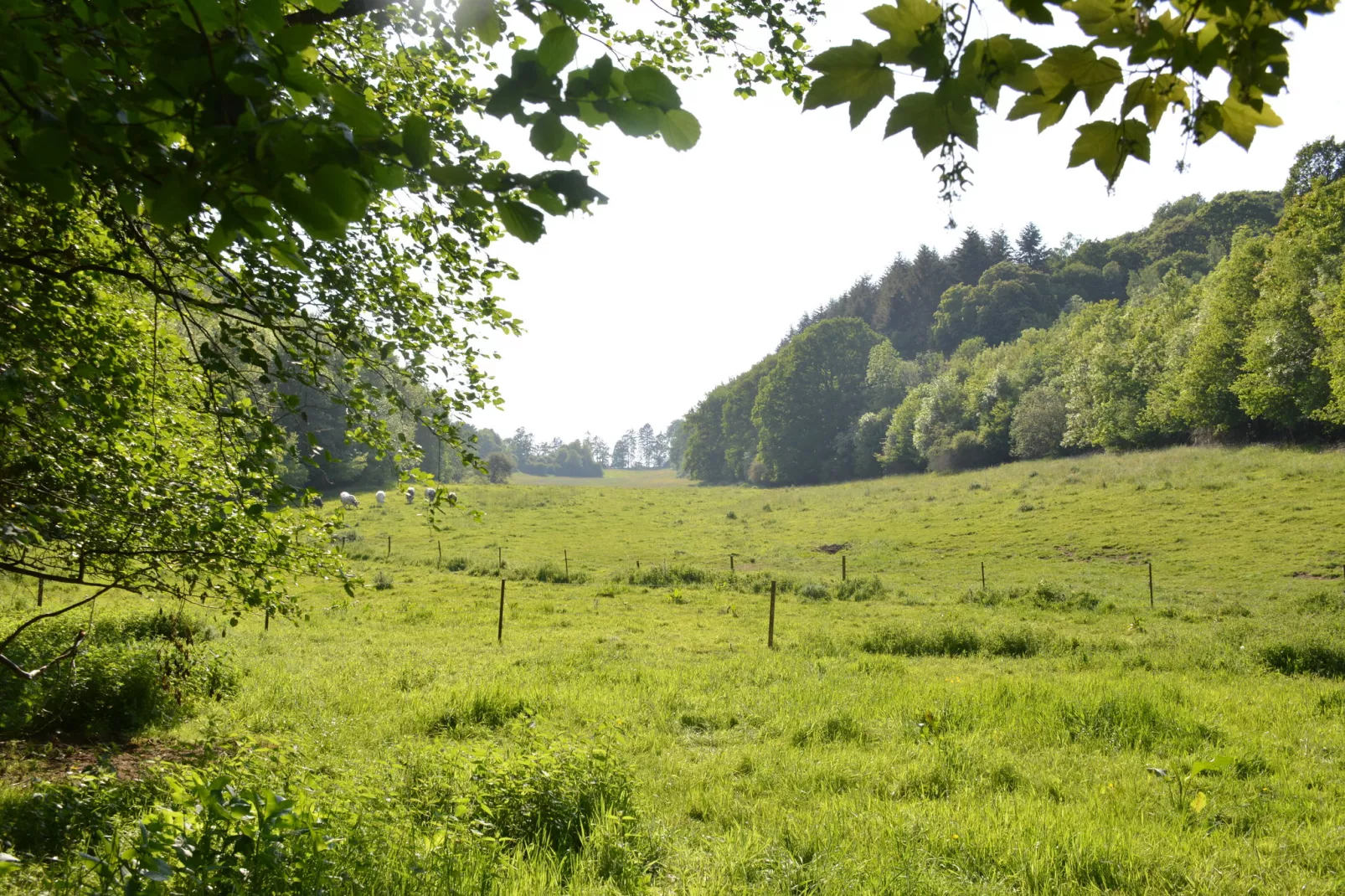 Enjoyquare 18-Areas summer 5km