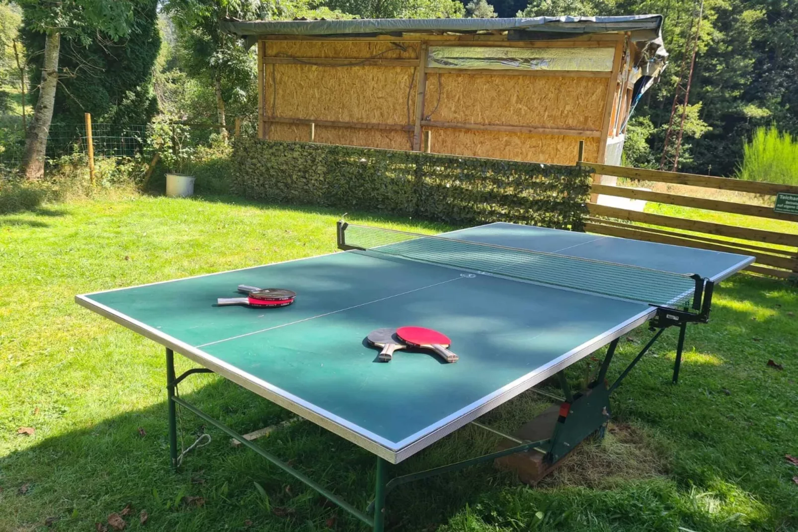 Ferienhaus mit eigener Bar am Bach in Saint Quirin-Facilities