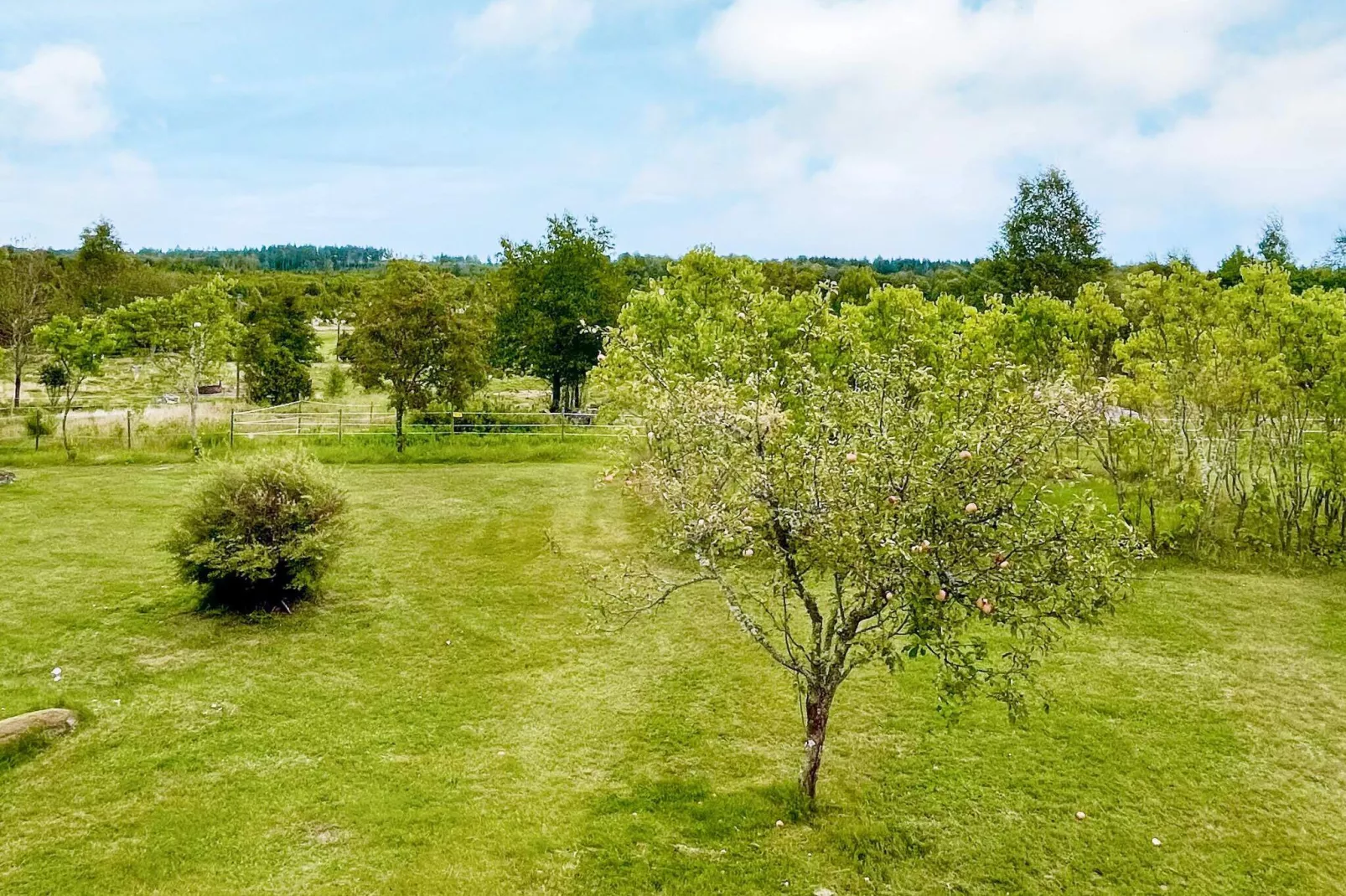 Holiday home for 8 guests in Hultsfred-Outdoor