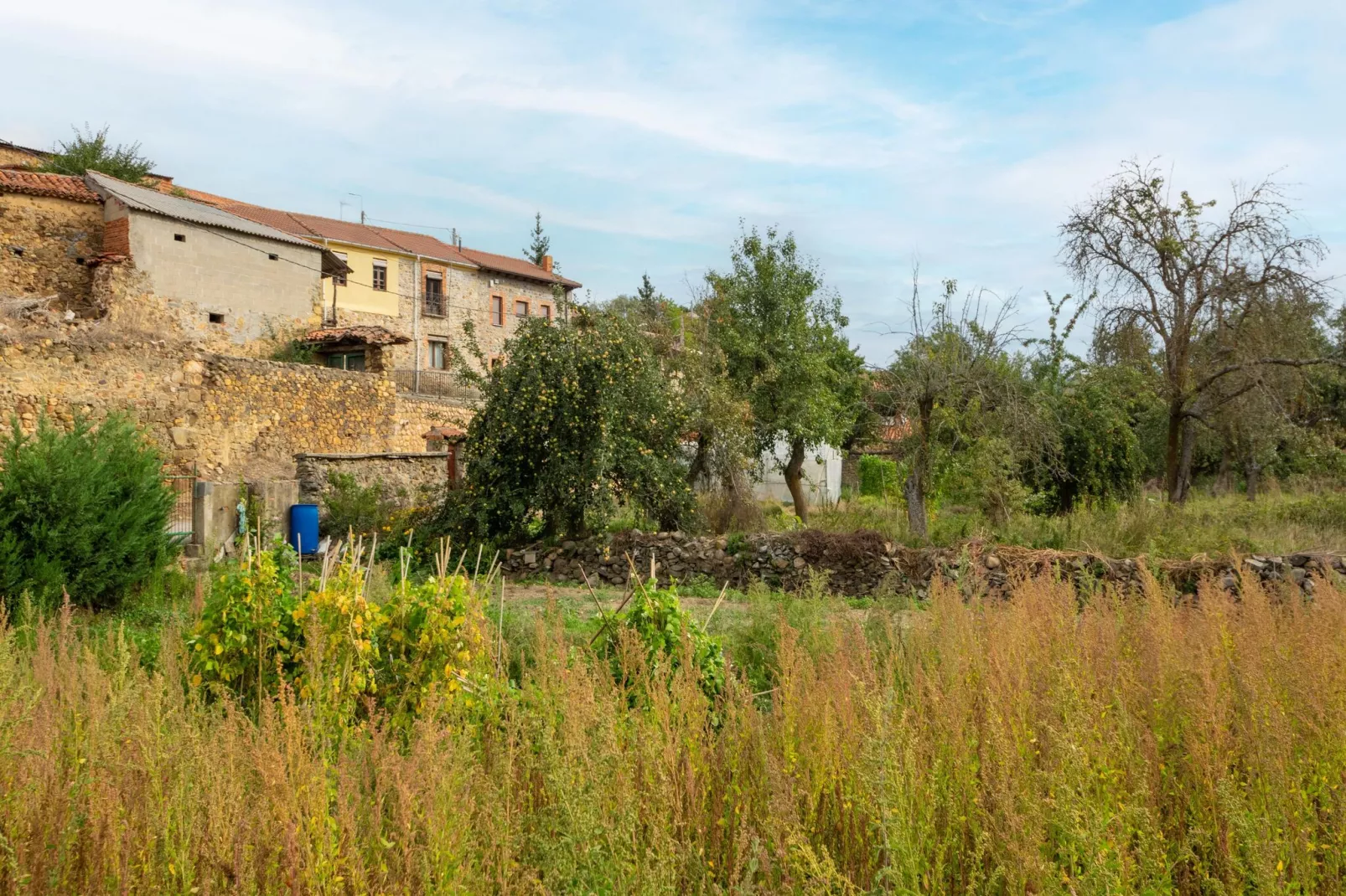 Casa rural Benllera-Gardens summer