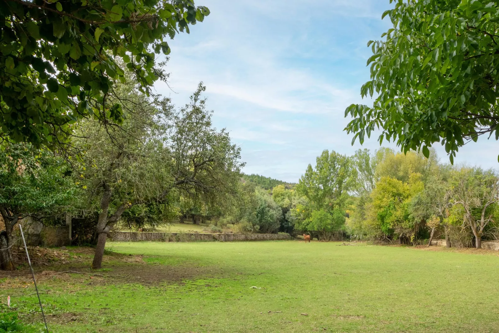 Casa rural Benllera-Gardens summer