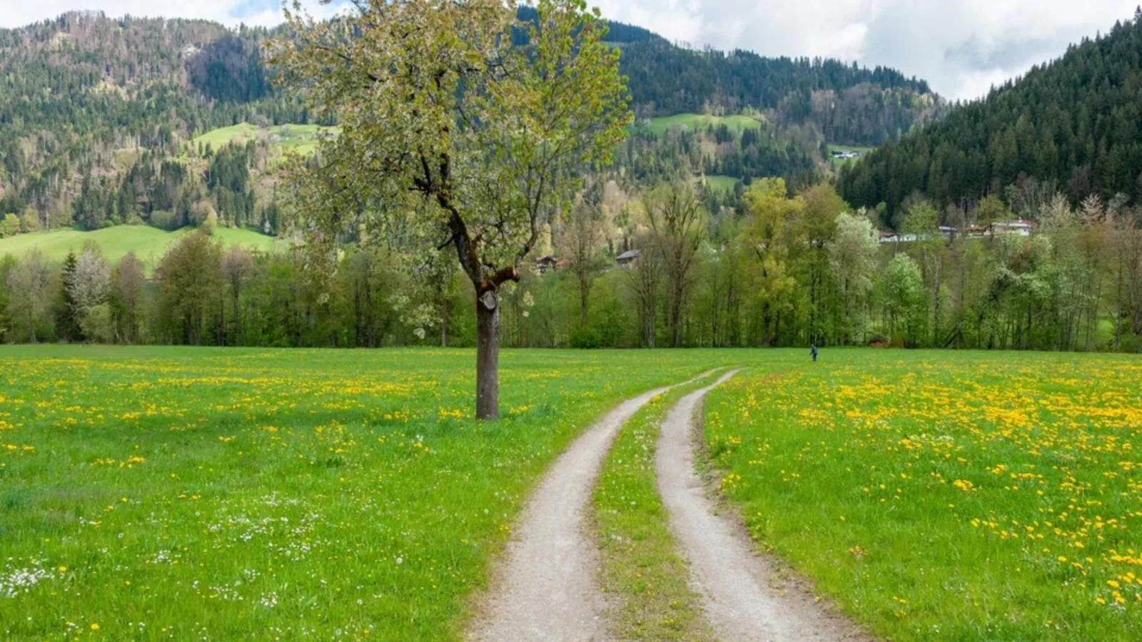 Edelalm Residenz Top 6-Zones d'été à 5 km