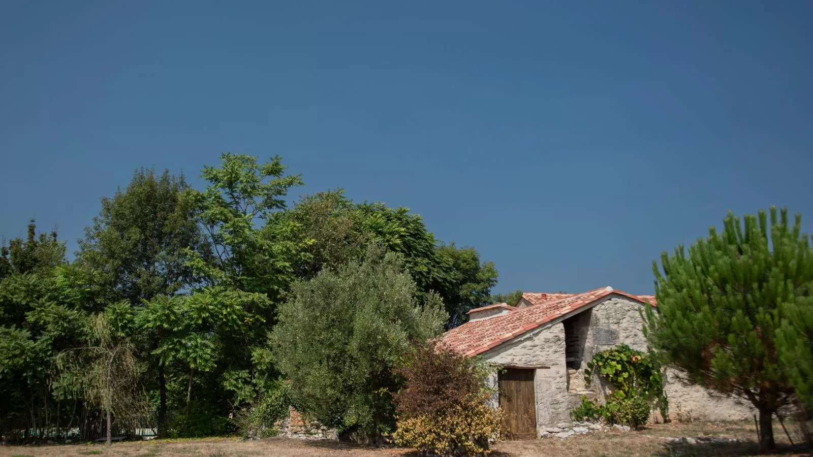 Gite Foussimagne-Außenbereich