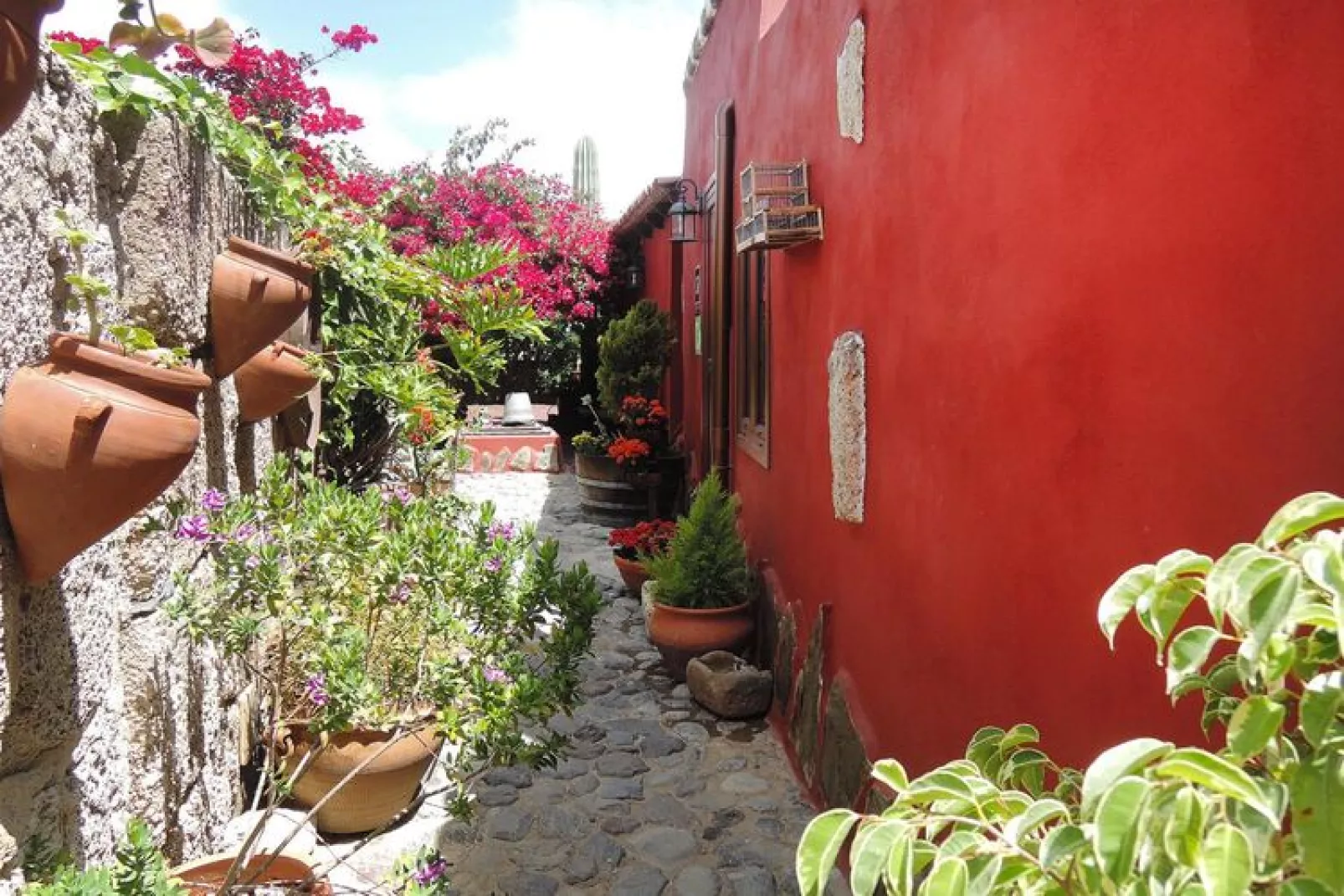 Casa El Moral-Gardens summer