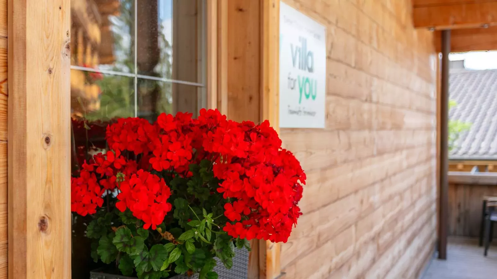 Haus Fernwald Top Tim-Exterior summer