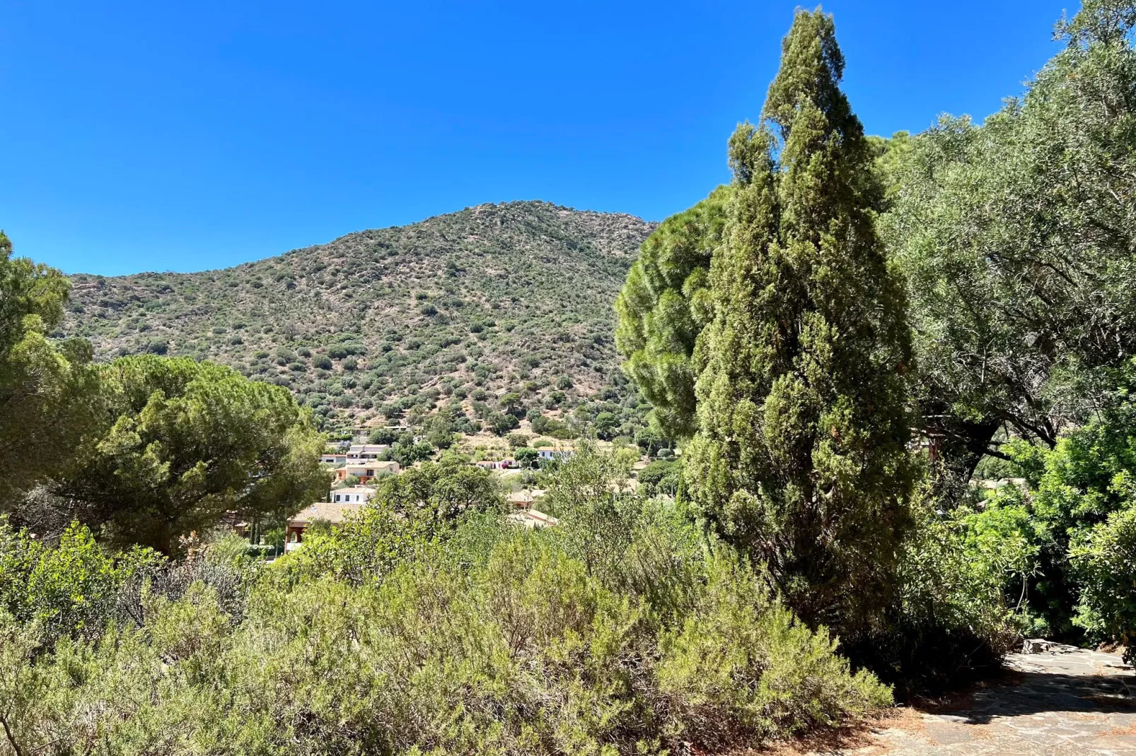 Domaine Anoutous Carry-View summer