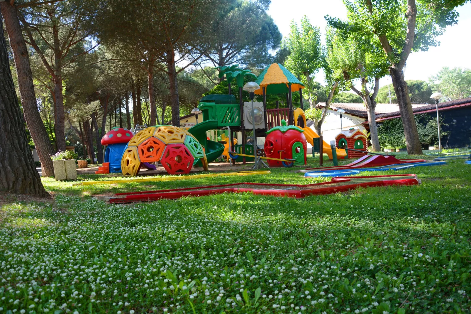 Super Comfort-Gardens summer