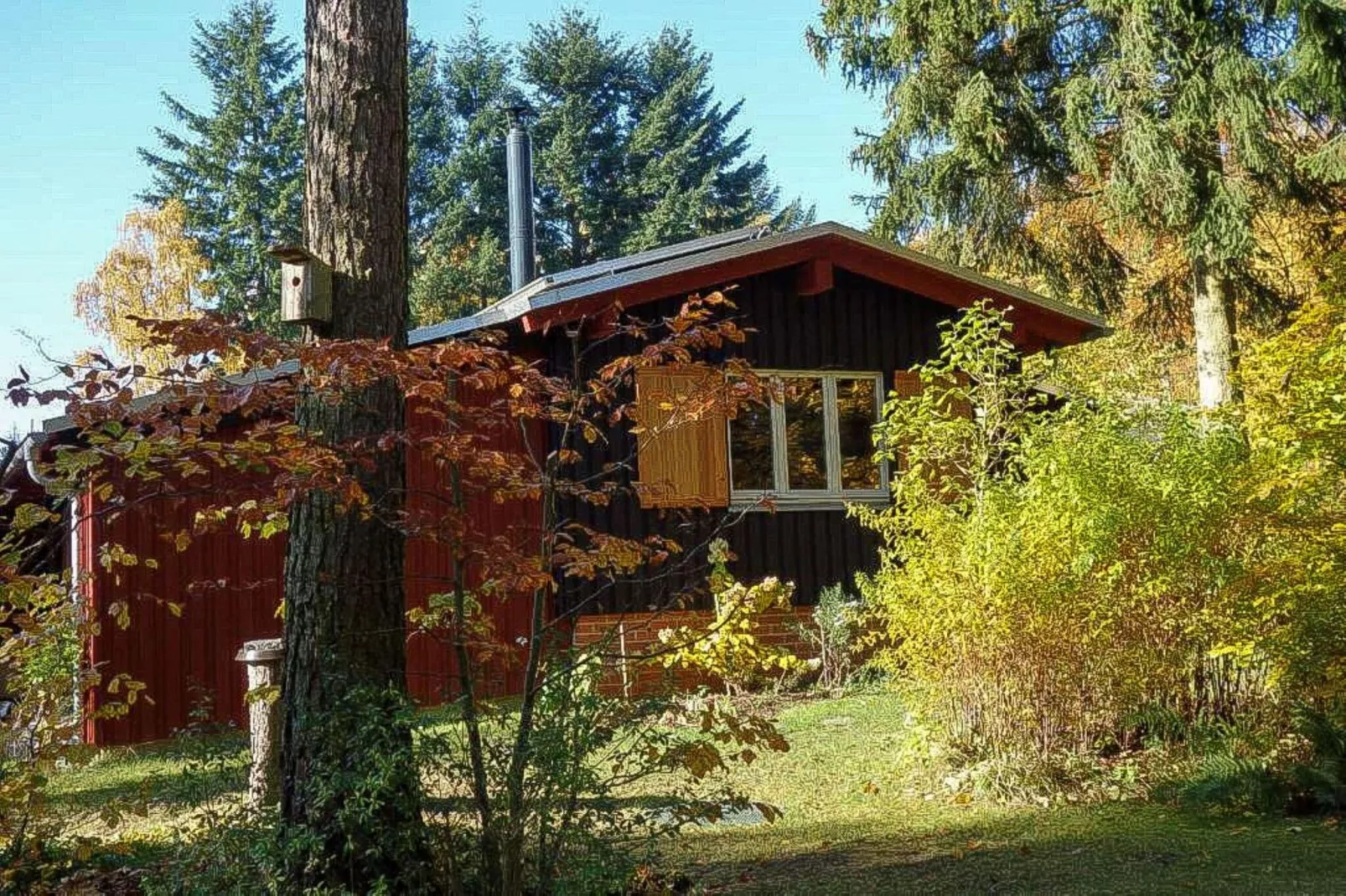 Waldhaus Harz-Außenbereich Sommer