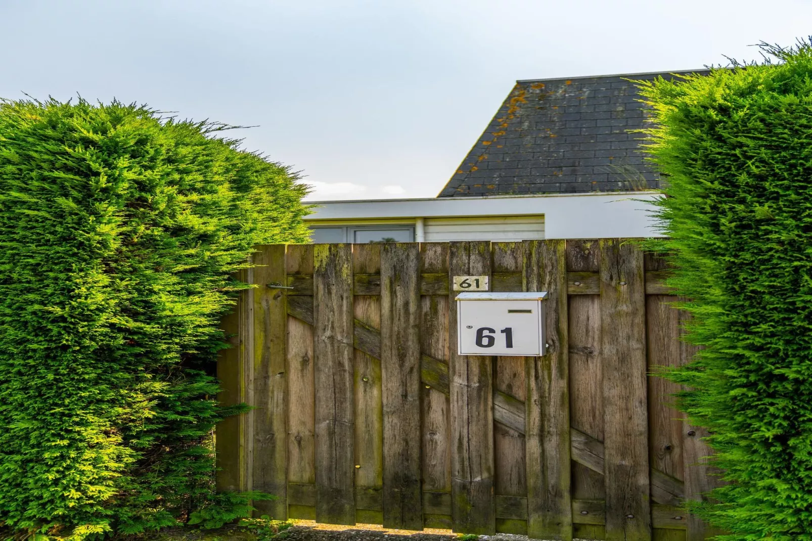 Strandhuis Schoneveld-Gardens summer