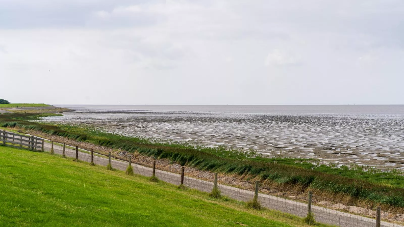 Huske 2-Gebiete Sommer 1 km