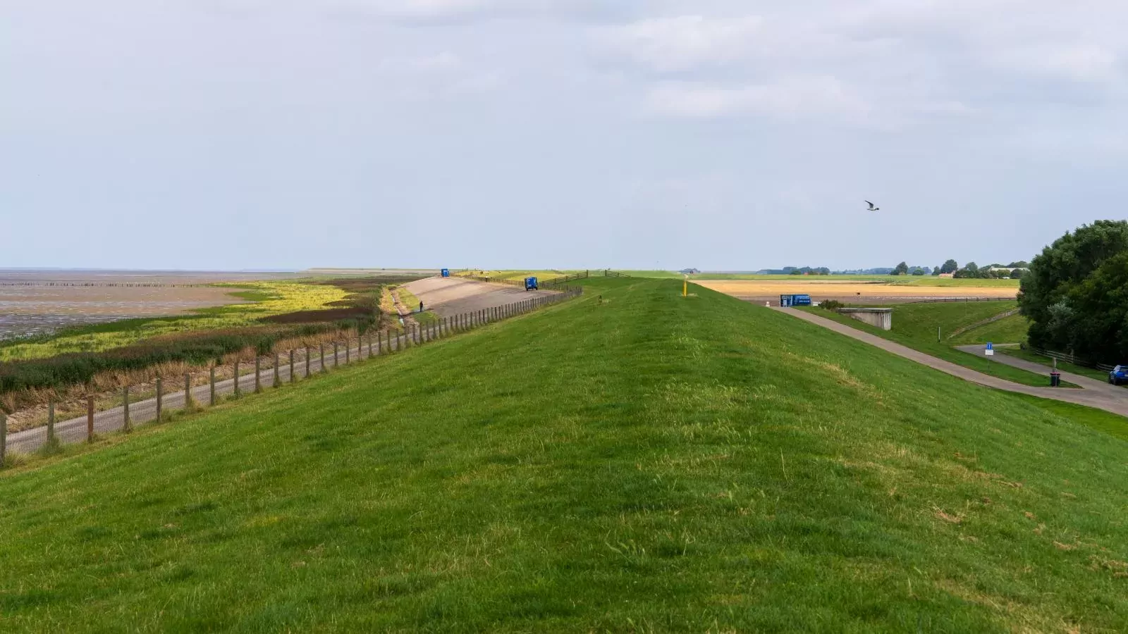 Huske 2-Gebiete Sommer 5 km