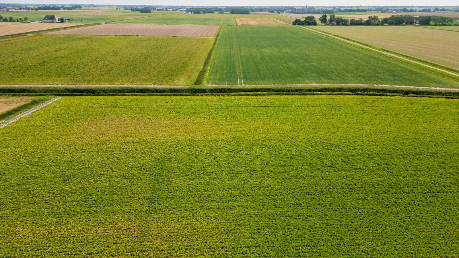 Huske 2-Gebiete Sommer 20 km