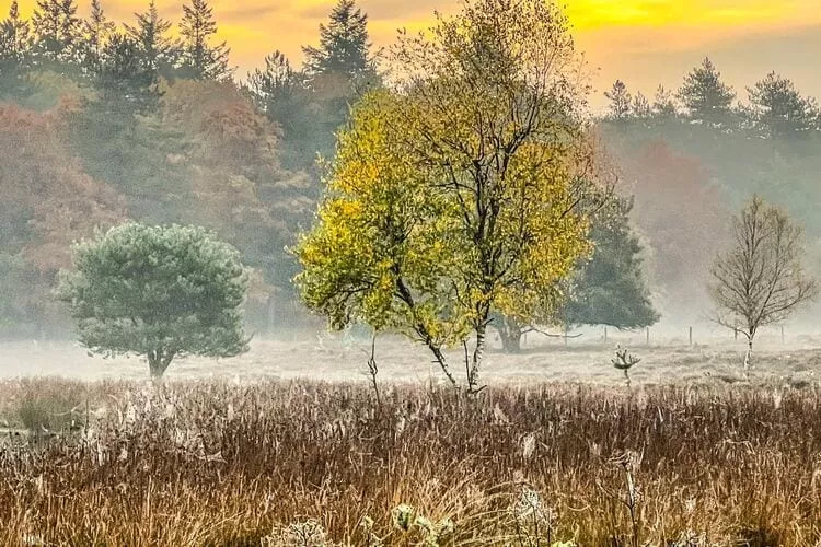De Riek 4P-Area winter 1km