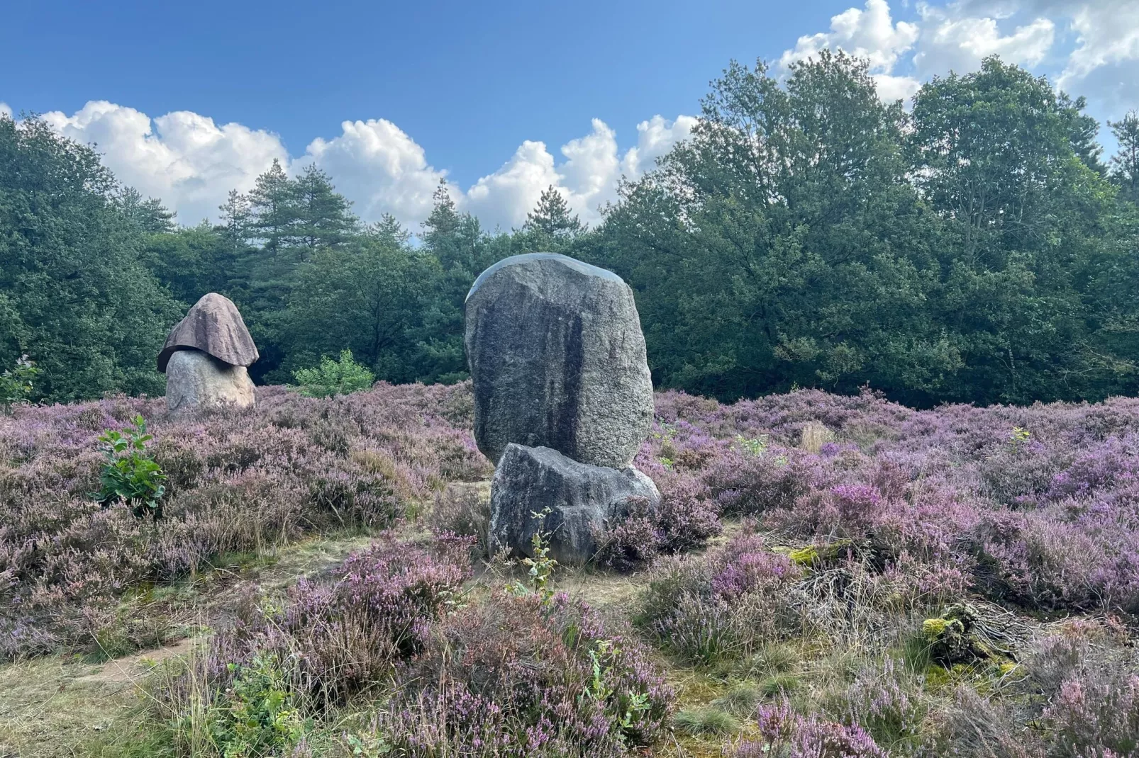 De Riek 4P-Areas summer 5km
