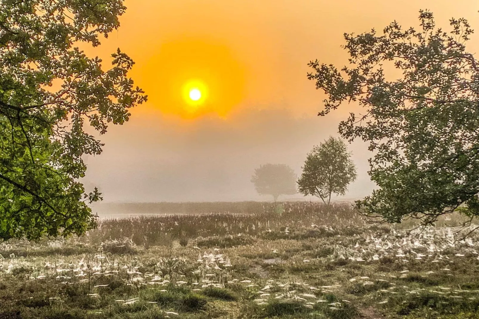 De Riek 4P-Areas summer 20km