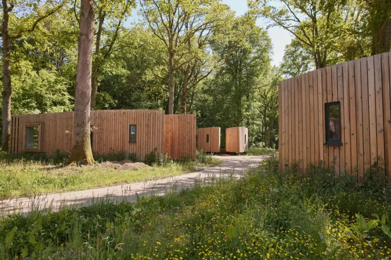 The TreeLoft by YourNature-Exterior summer