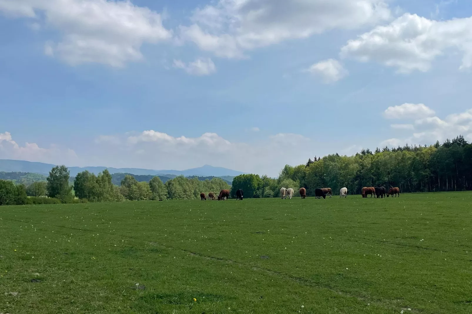 Jablon-Areas summer 5km