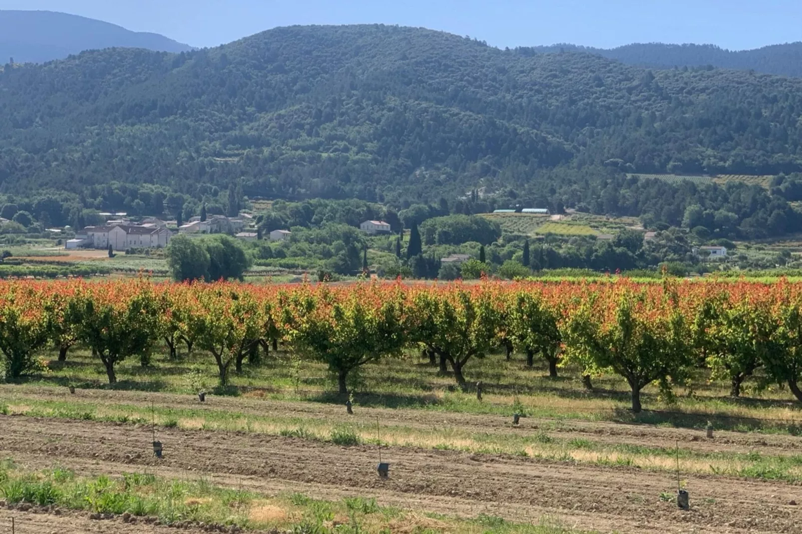 Villa Provatoux-Areas summer 20km
