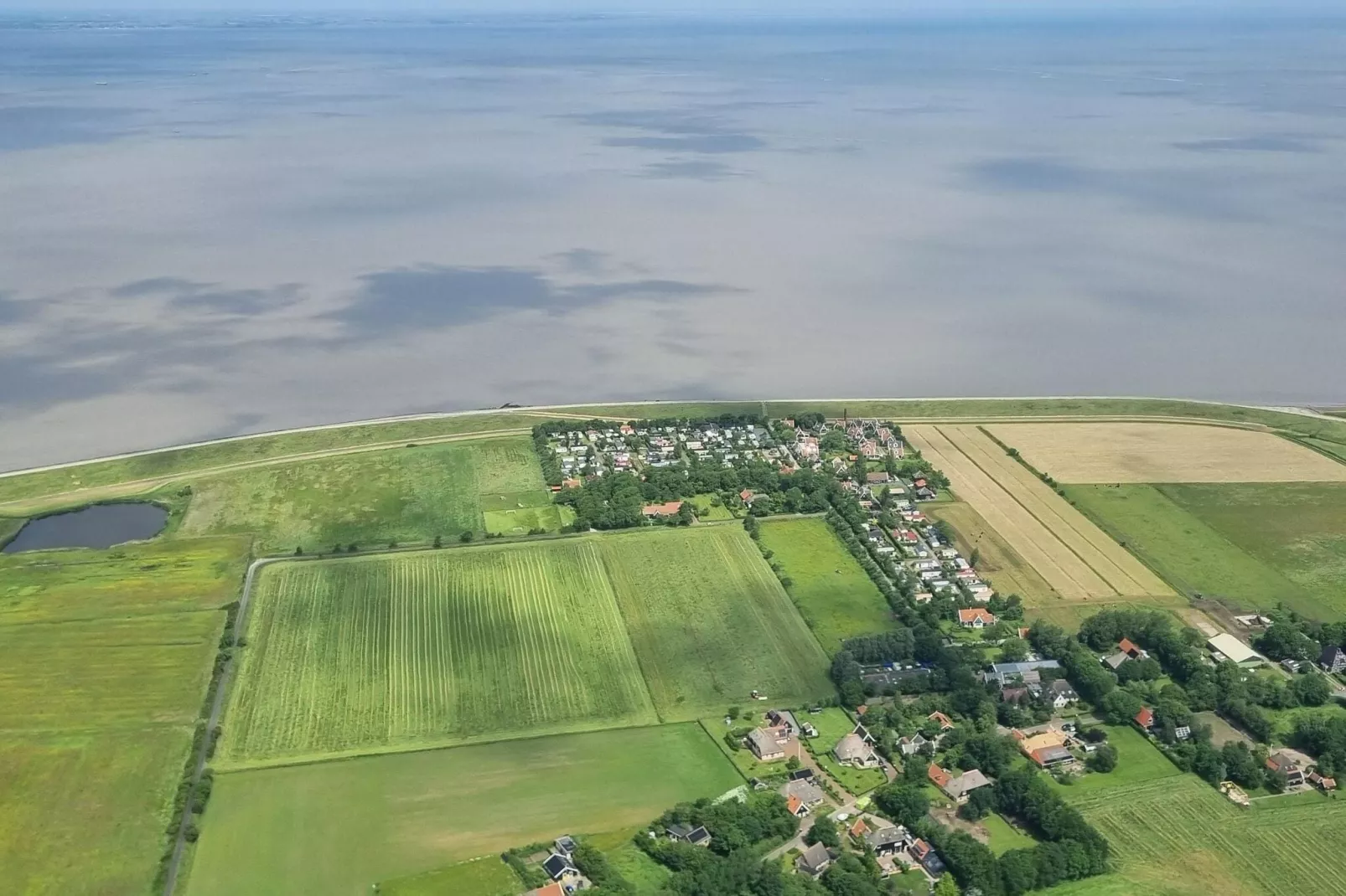 Recreatiepark Wiringherlant - Wiringher Chalet 94-Areas summer 5km