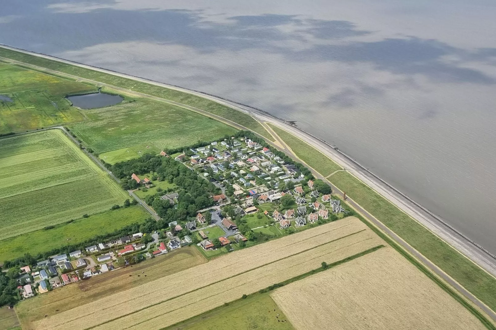 Recreatiepark Wiringherlant - Wiringher Chalet 94-Areas summer 5km