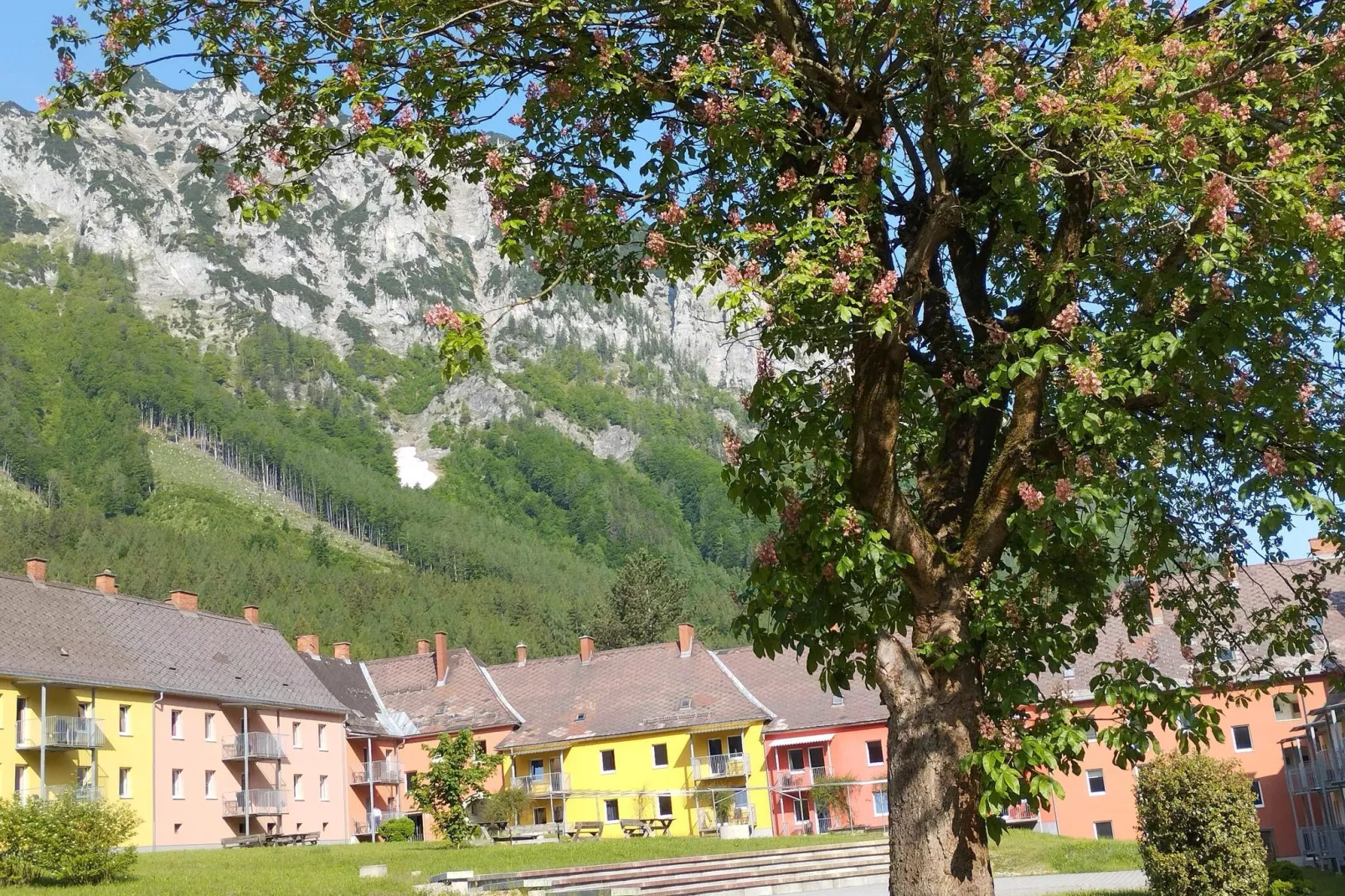 Erzberg Alpin Resort  4-Areas summer 1km
