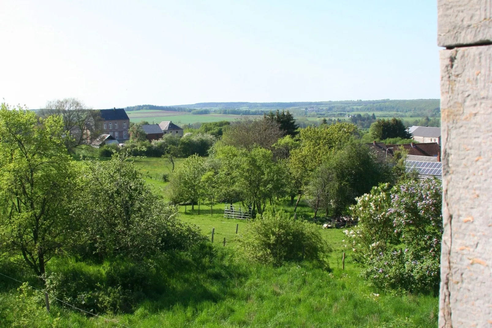 Honnay-Areas summer 1km