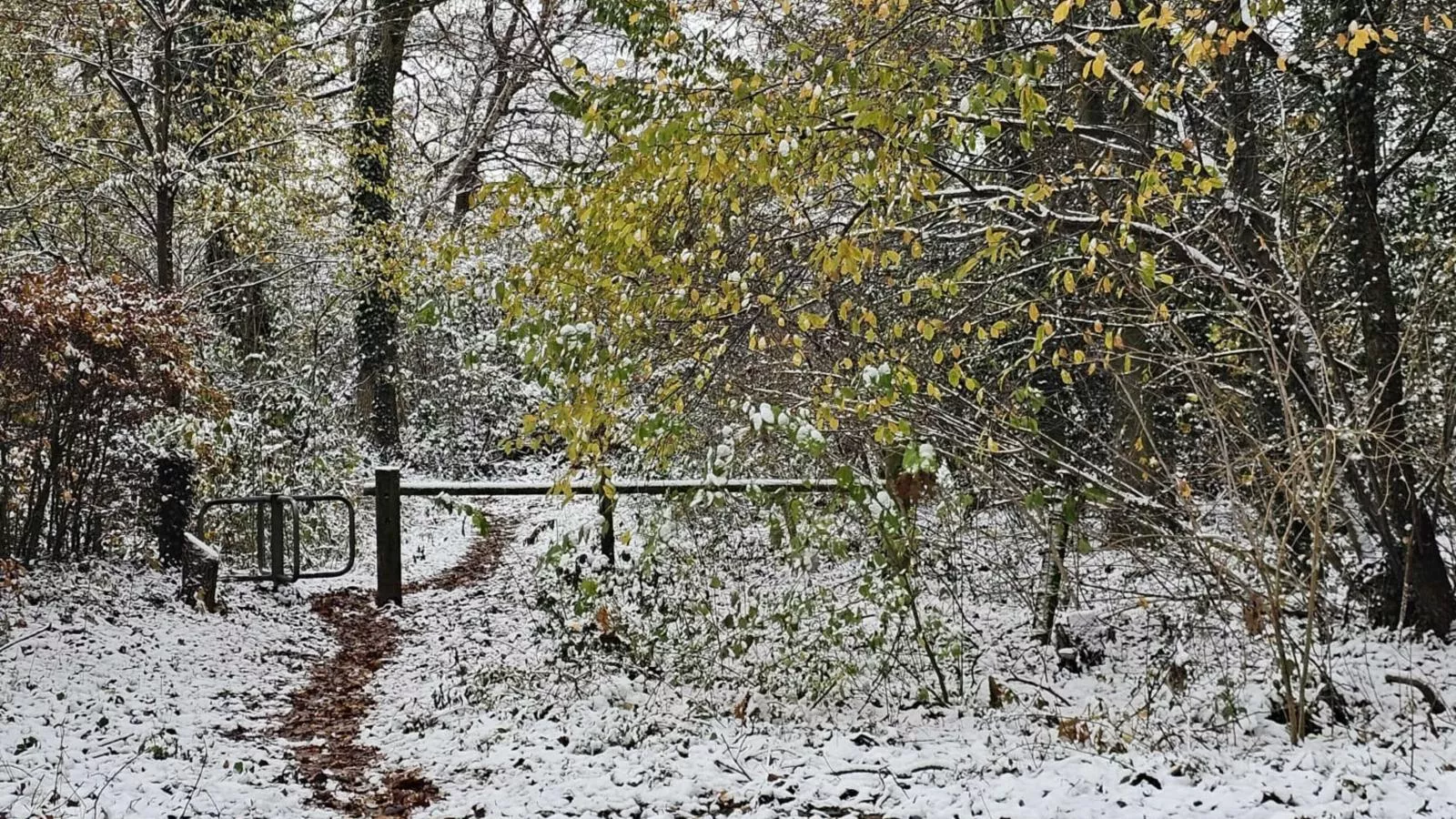 De Spil-Area winter 1km
