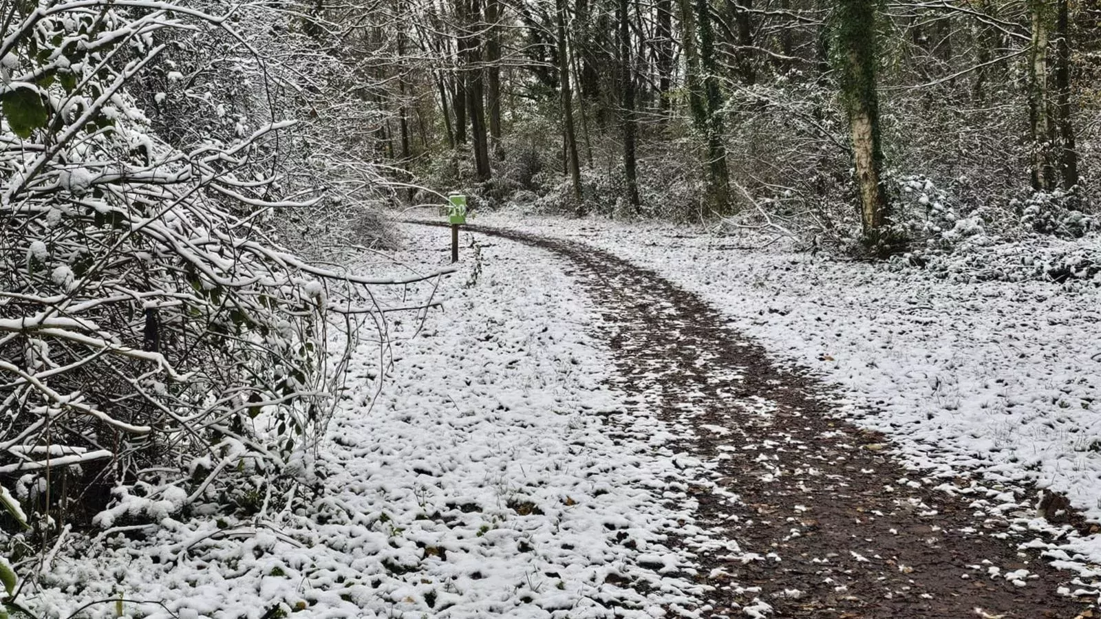 De Spil-Area winter 1km