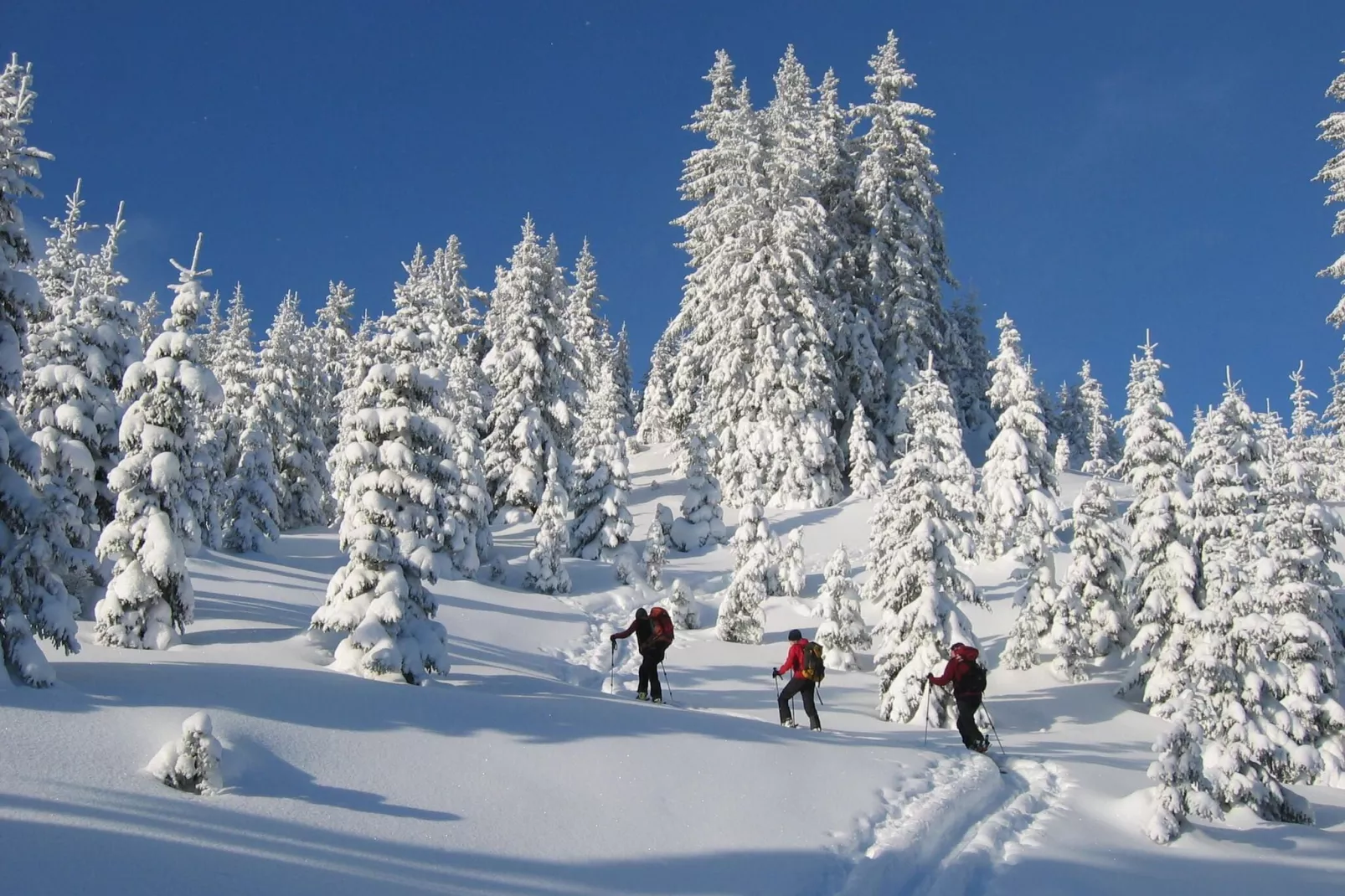 Erzberg Alpin Resort  35-Zone d'hiver à 5 km
