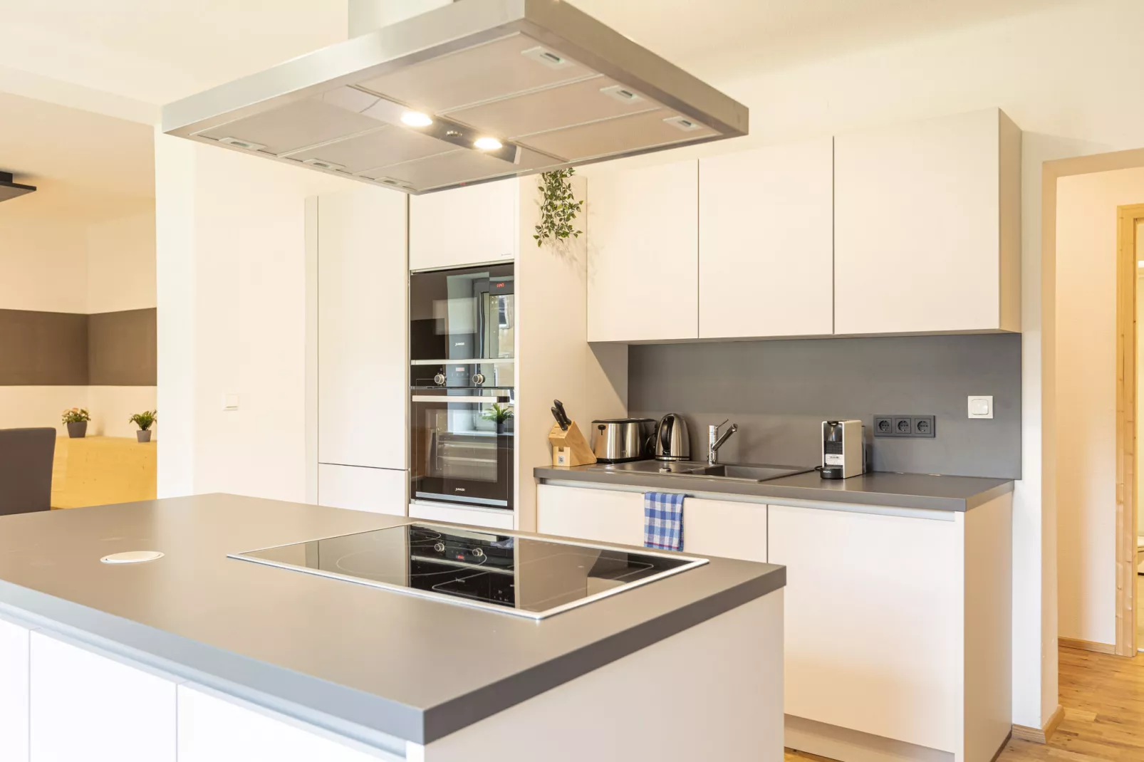 Erzberg Alpin Resort  1-Kitchen