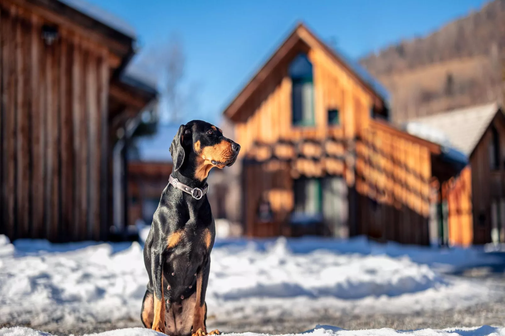 Ferienpark Kreischberg 14-Ambiance