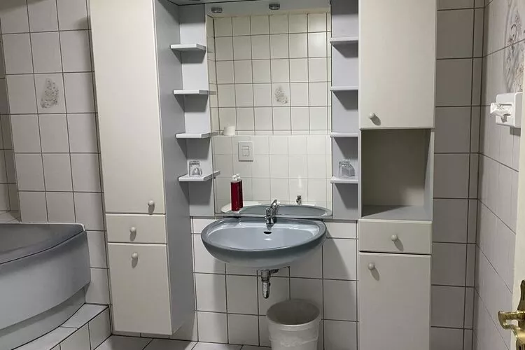 Ferienhaus Mein Bergblick 7 Pers-Bathroom
