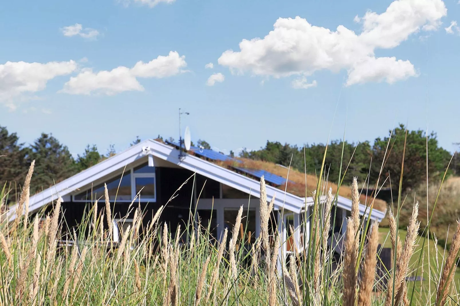 14 person holiday home in Blokhus-By Traum-View