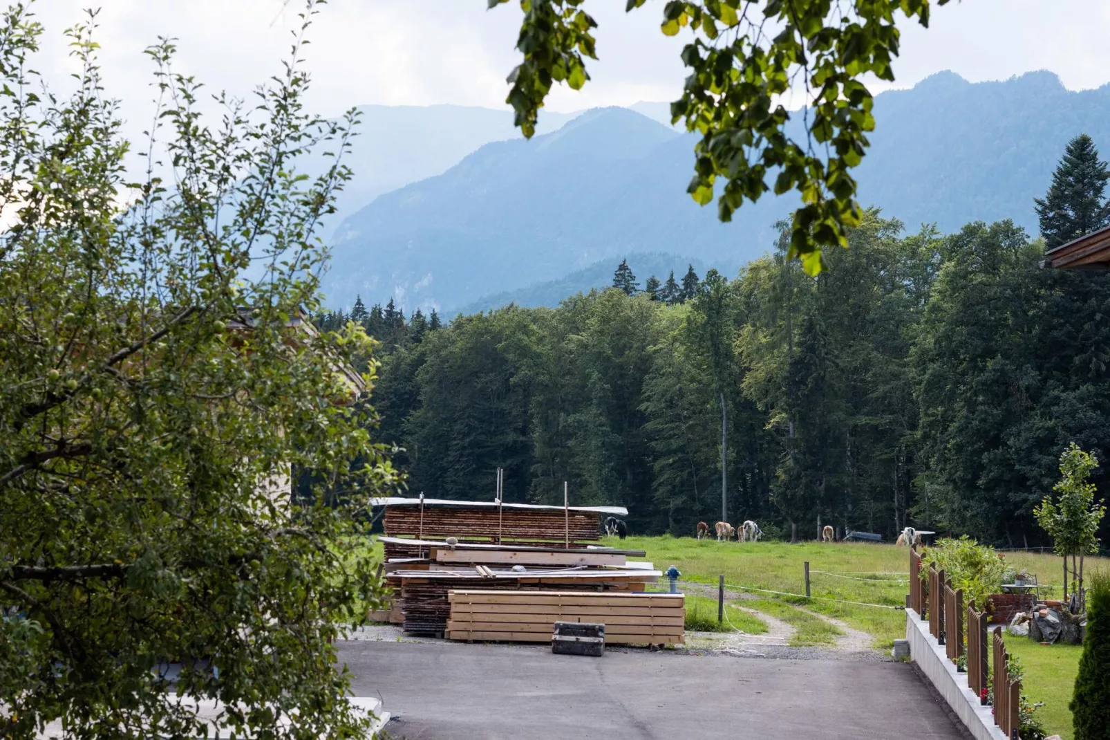 Bauernhaus Untermoos-View summer