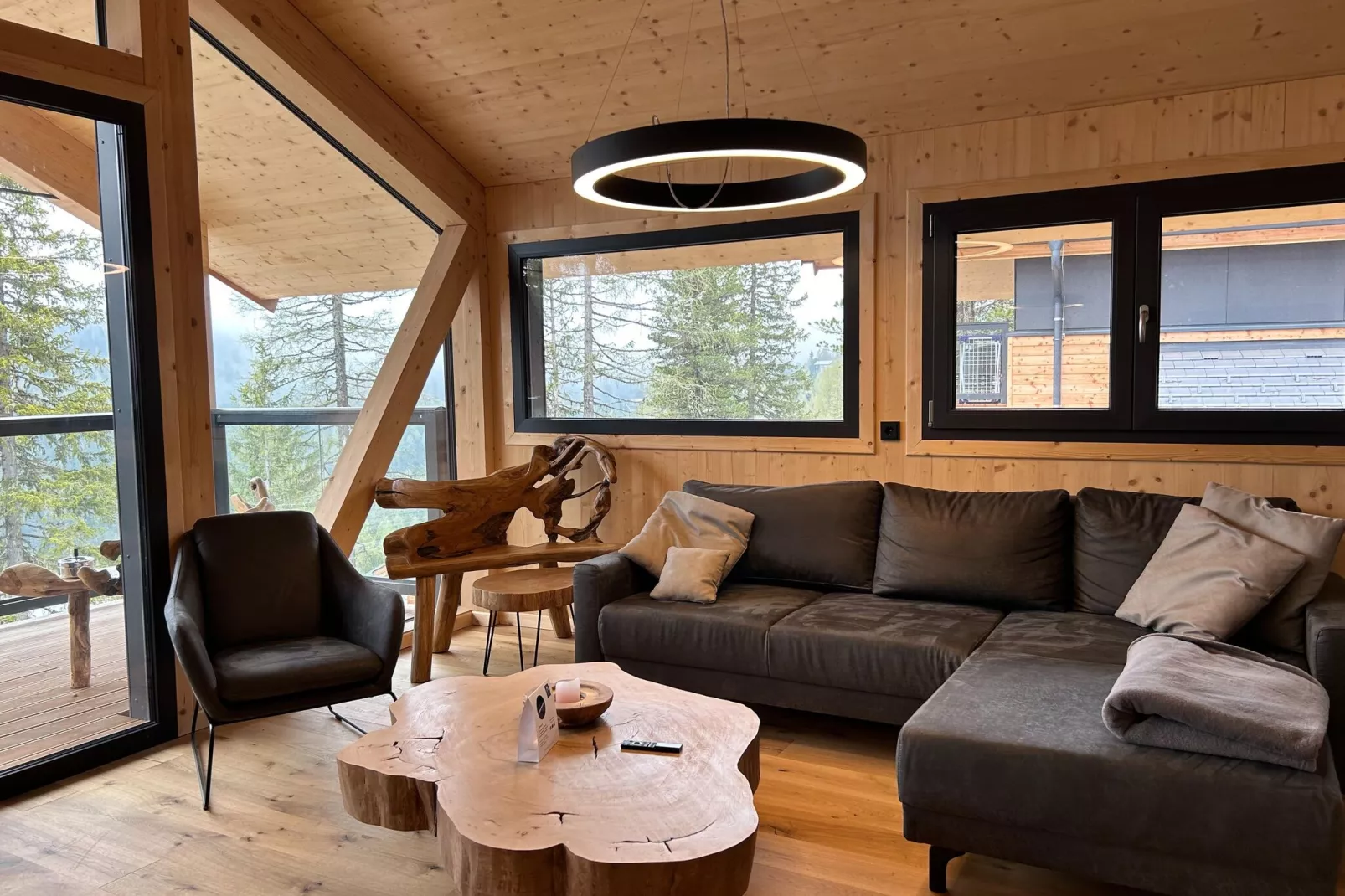 Naturchalets Turracher Höhe 8-Living room