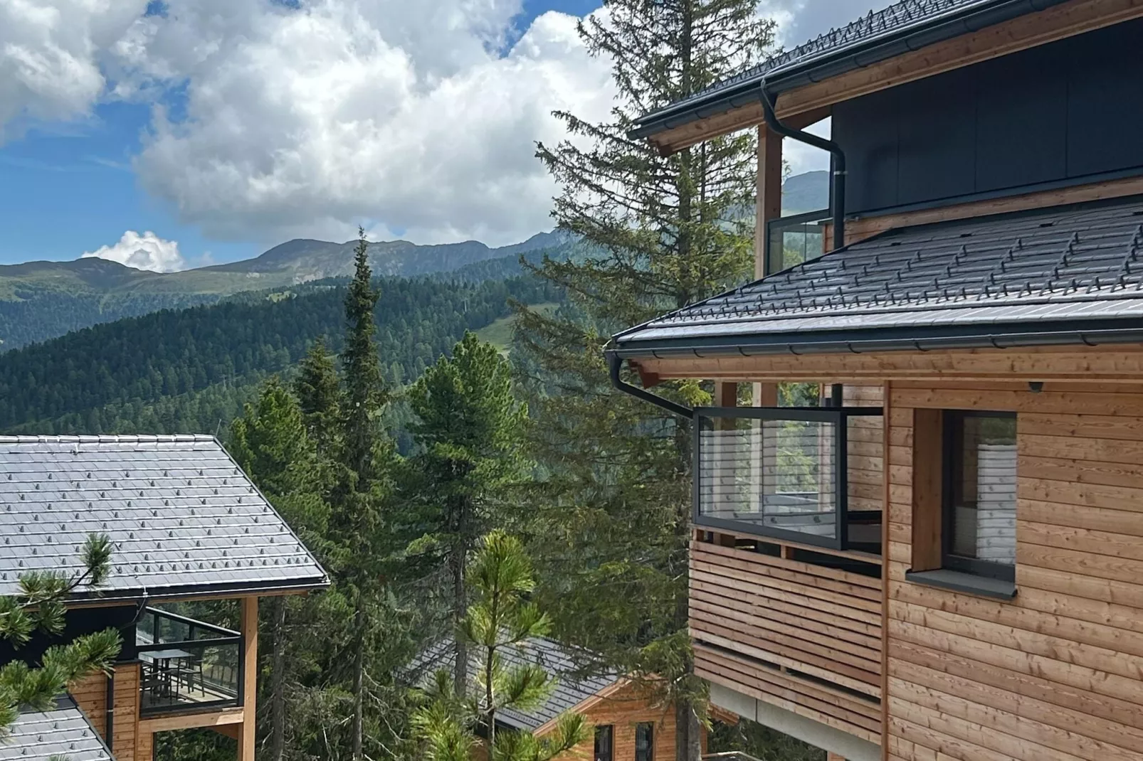 Naturchalets Turracher Höhe 8-View summer
