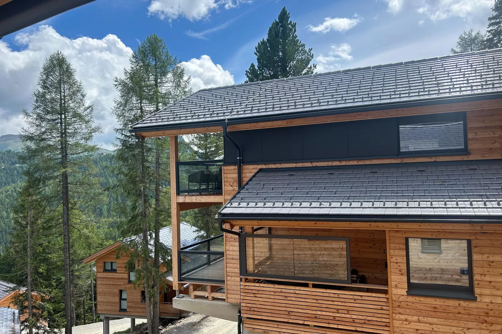 Naturchalets Turracher Höhe 9-Exterior summer
